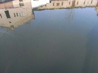 Schwimmteich von Saale-Solartechnik